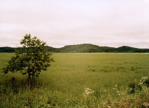 釧路湿原
(620×447pixel,45.1KB)