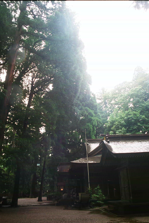 高千穂神社
(620×930pixel,148.5KB)