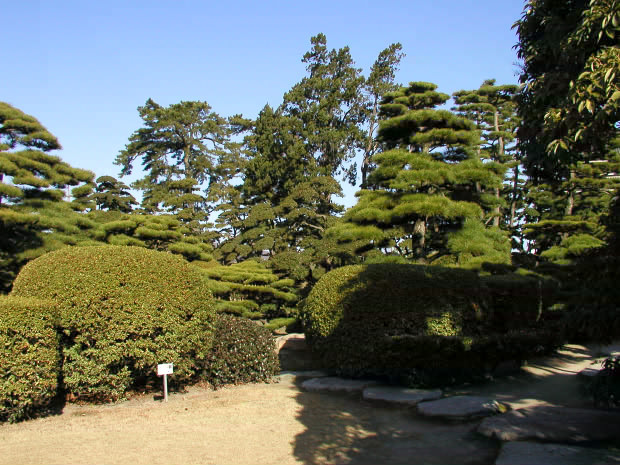 高松・玉藻公園
(620×465pixel,109.2KB)