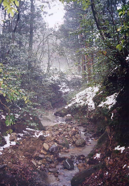 山中温泉・冬
(433×620pixel,77.2KB)