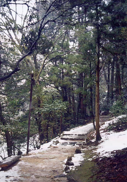 山中温泉・冬
(433×620pixel,81.9KB)